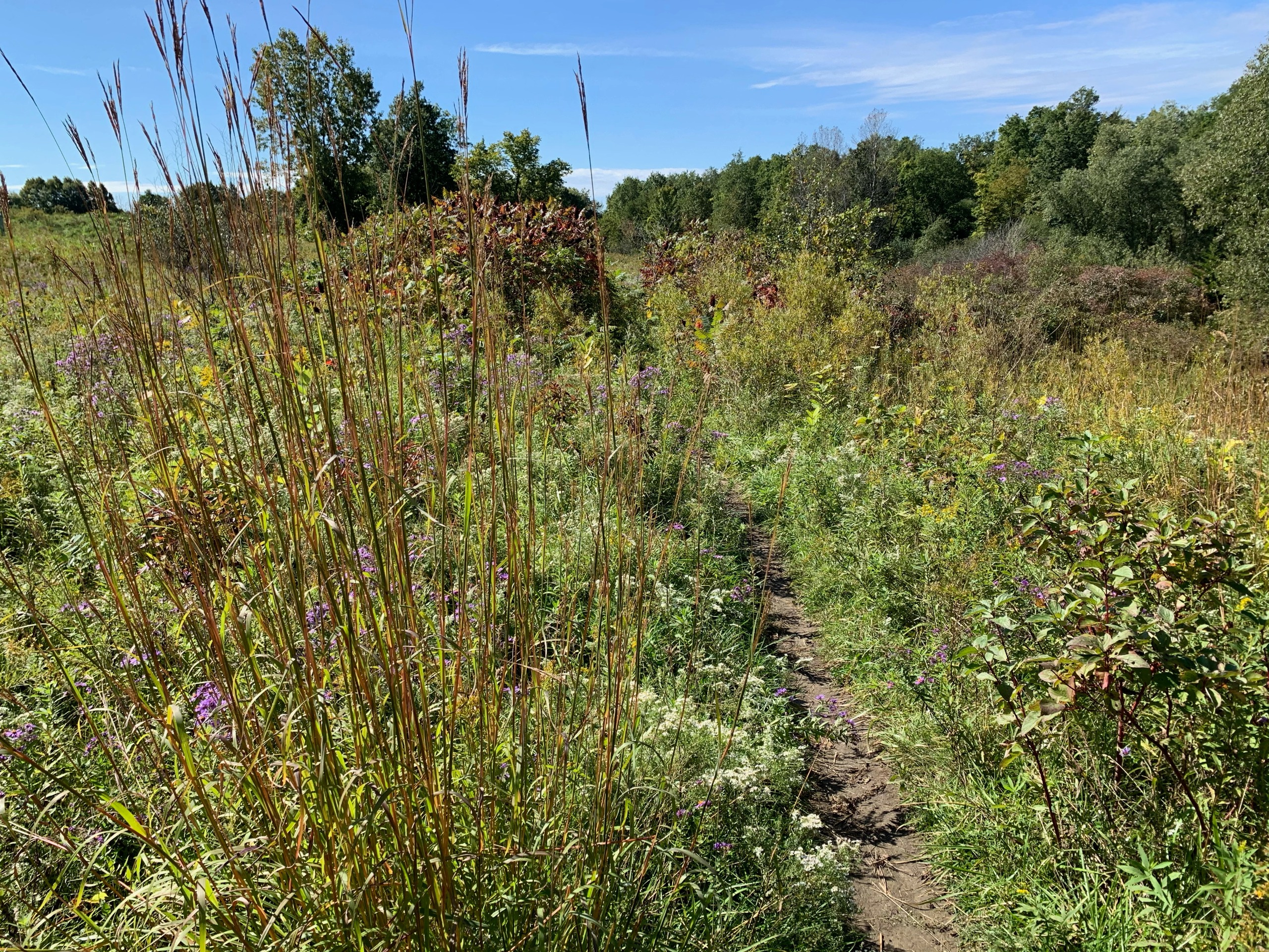 Kelly Stanton Photo Gallery 1