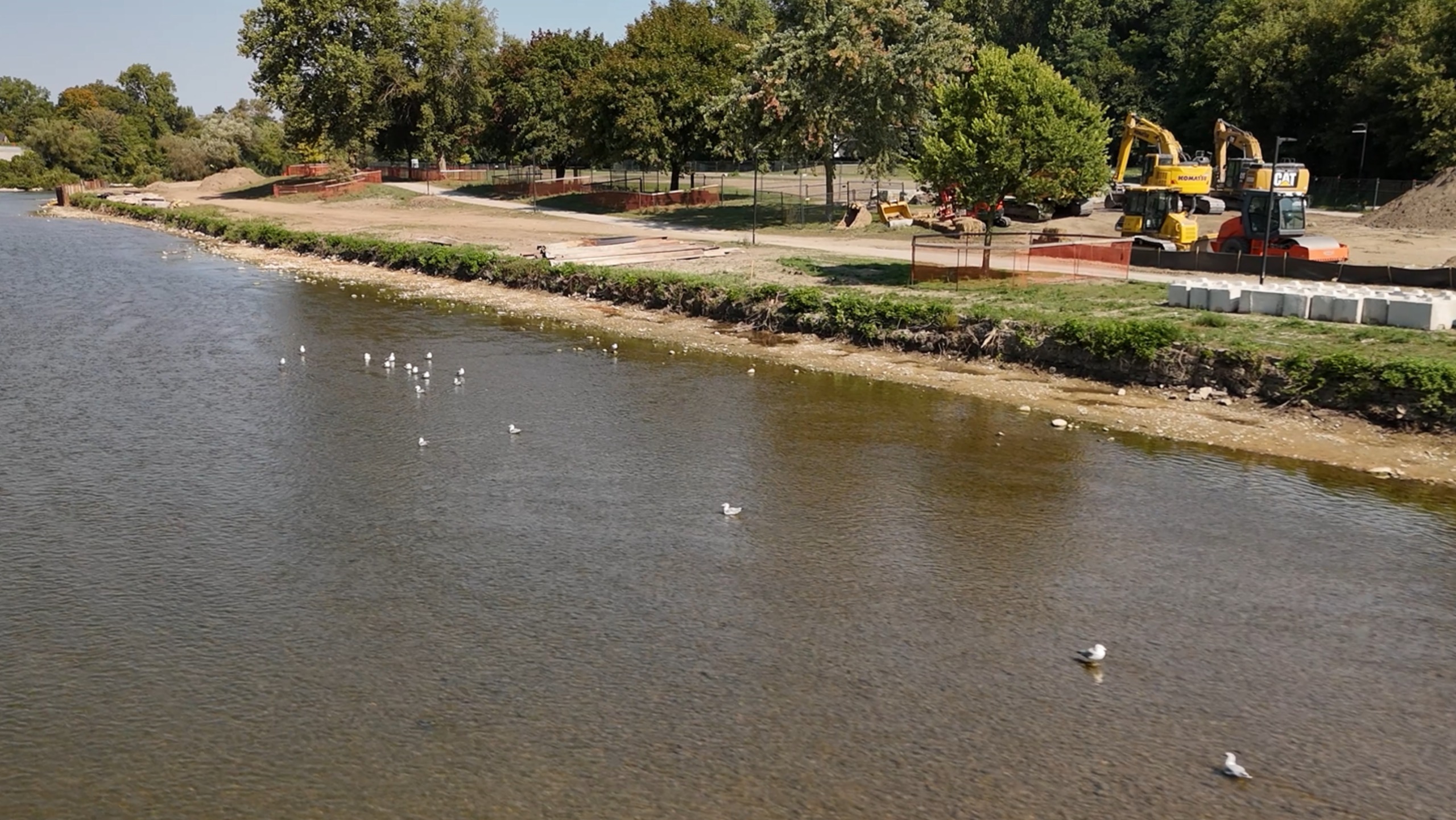 Before: Harris Park in September 2024