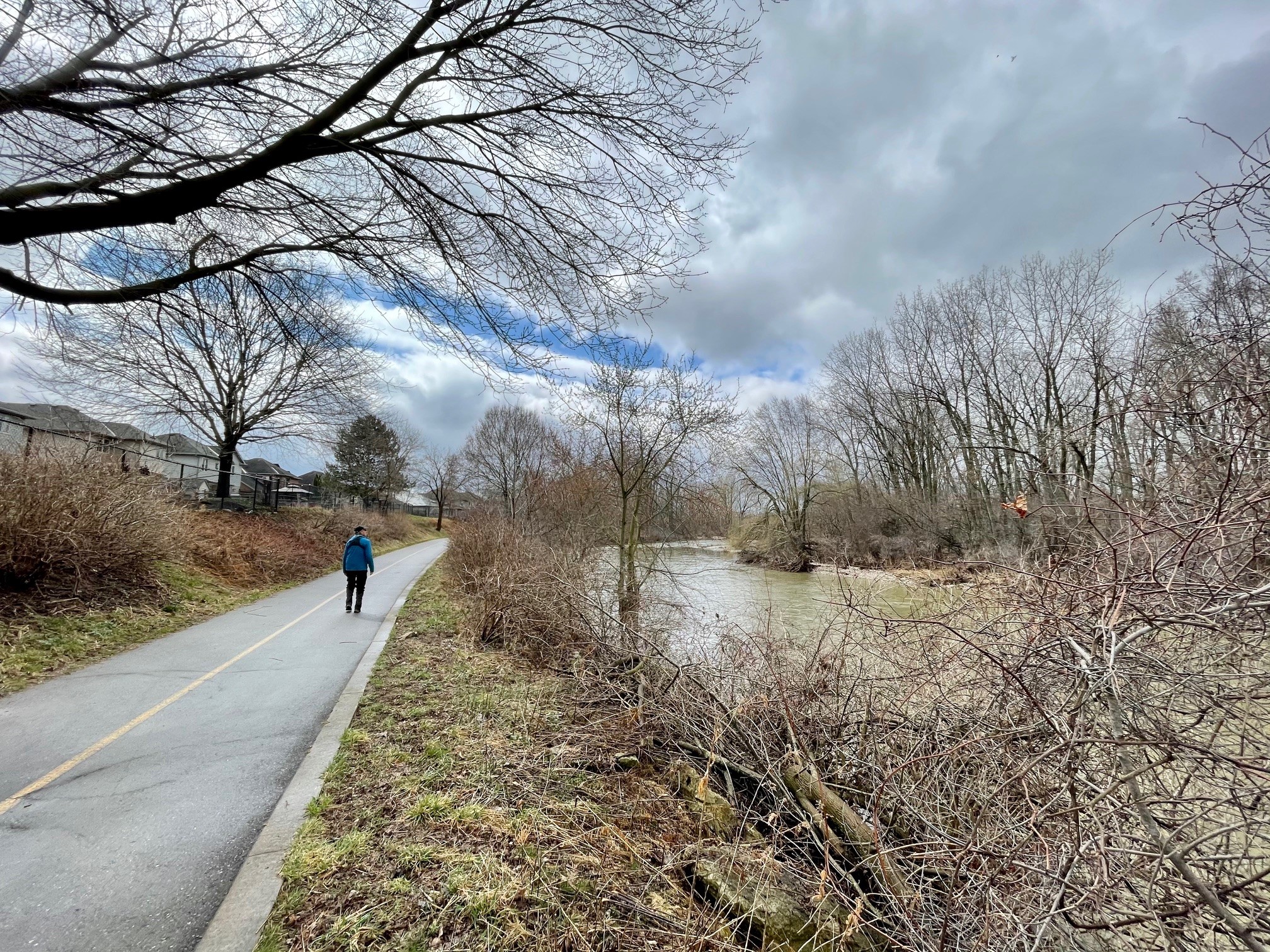 Kilally Meadows Photo Gallery 2