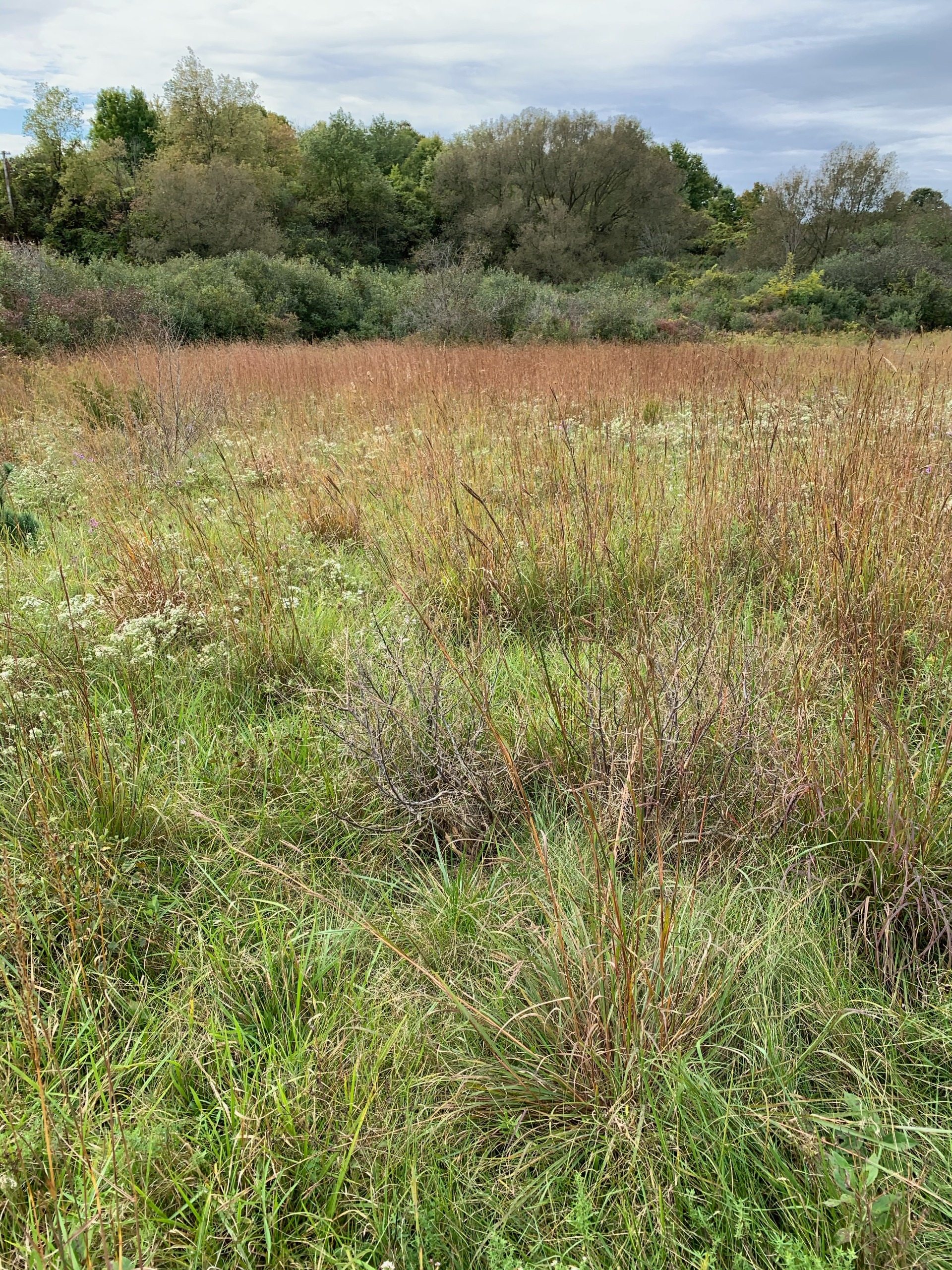 Kelly Stanton Photo Gallery 5