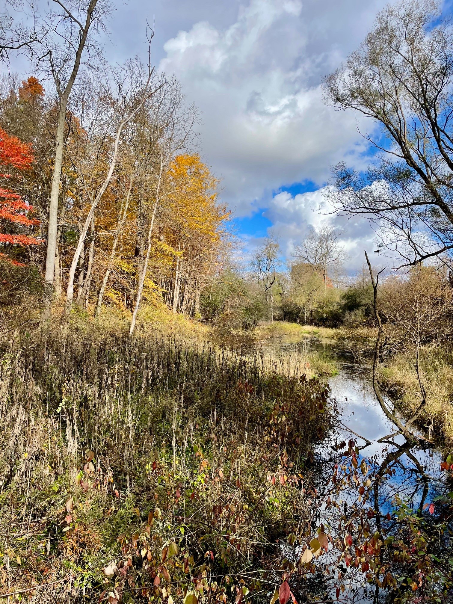 Kilally Meadows Photo Gallery 3