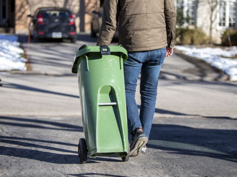 A medium size Green Bin