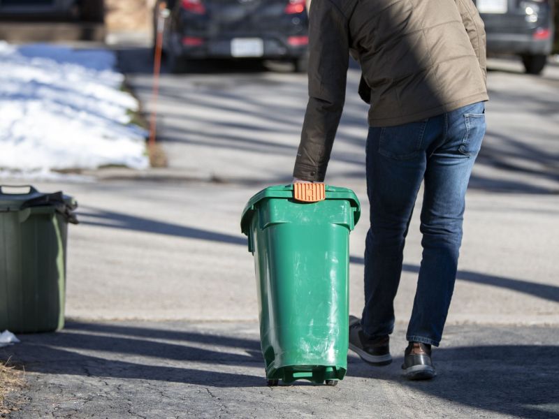 A small size Green Bin