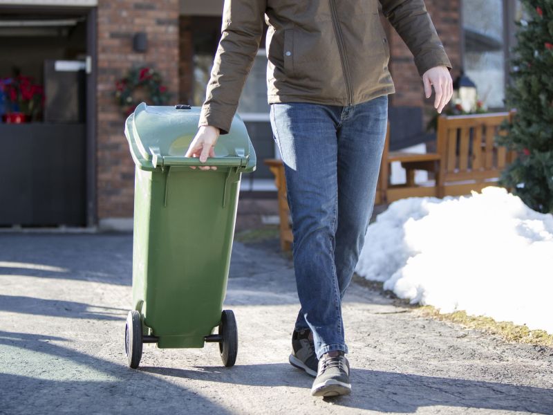 A medium size Green Bin