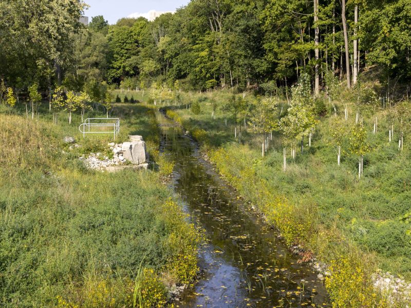 This photo shows Mud Creek after improvements were made as part of Phase 1 of the project. 