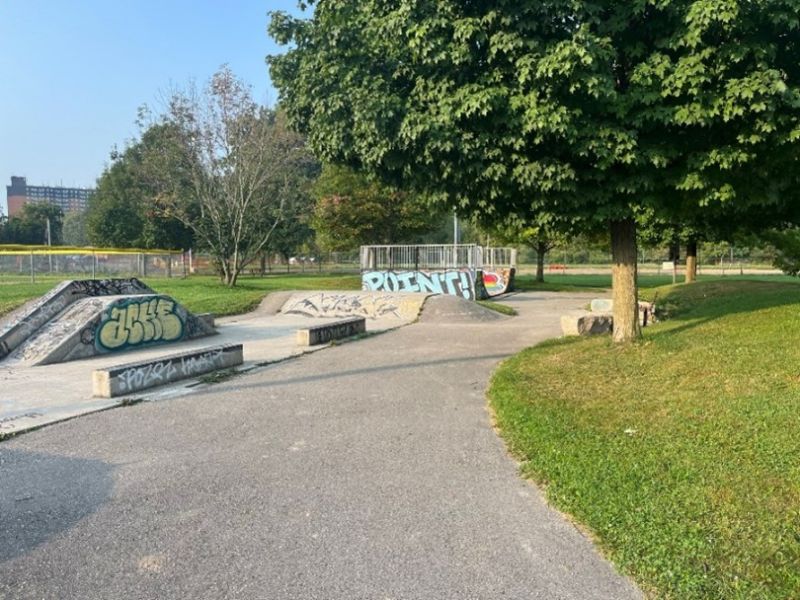 West Lions skate park